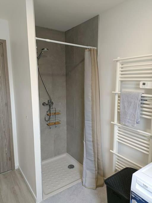 Appartement Entier F3 Renove - Petite Pause A Sélestat Exteriör bild