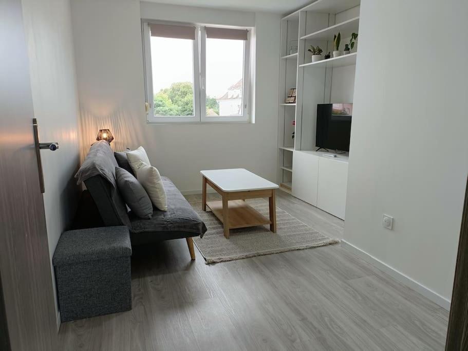 Appartement Entier F3 Renove - Petite Pause A Sélestat Exteriör bild
